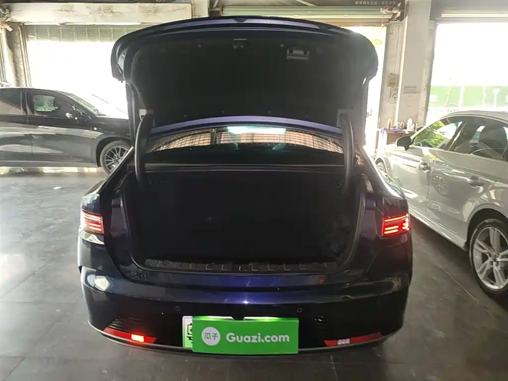 BYD Destroyer 05 2024 Glory Edition DM-i 55KM Luxury фото 19
