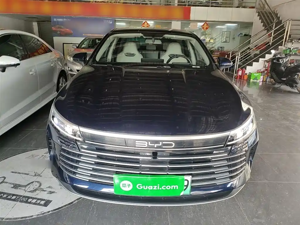 BYD Destroyer 05 2024 Glory Edition DM-i 55KM Luxury фото 3