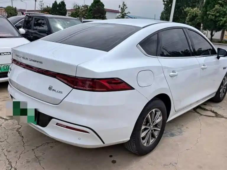 BYD Qin PLUS 2024 Glory Edition DM-i 55KM Leading фото 4