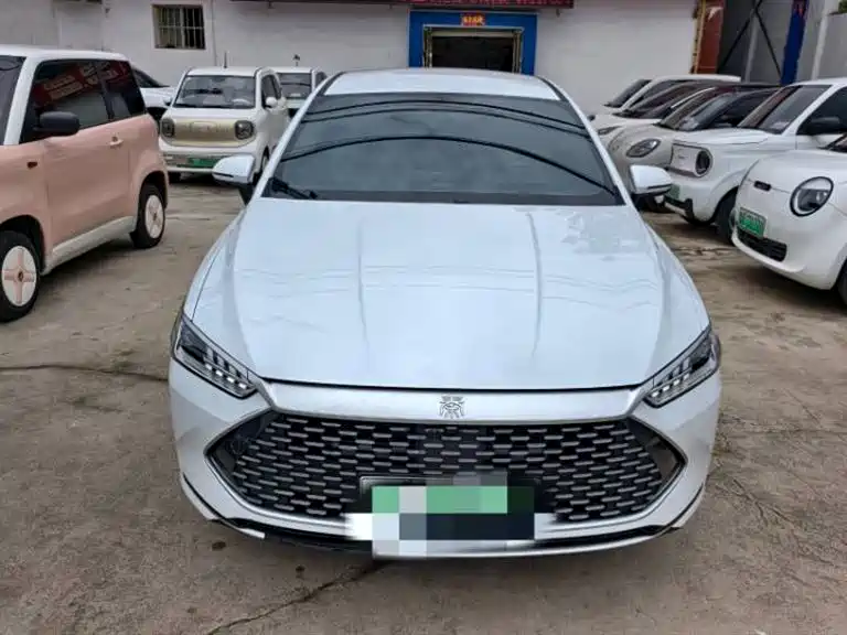 BYD Qin PLUS 2024 Glory Edition DM-i 55KM Leading фото 2