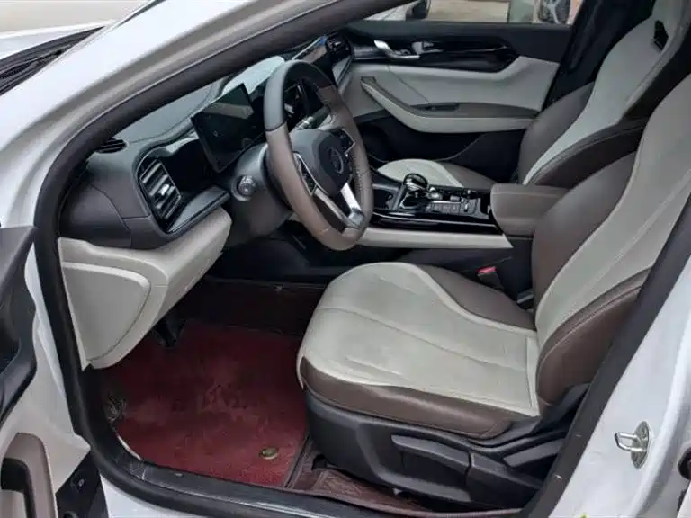 BYD Qin PLUS 2024 Glory Edition DM-i 55KM Leading фото 9