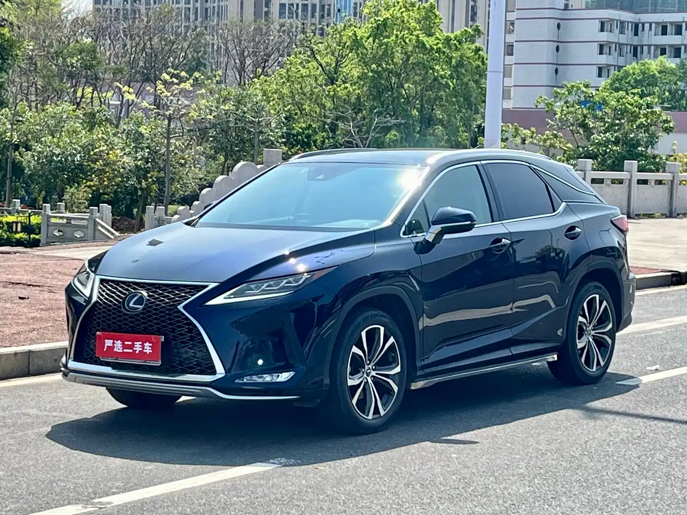 Lexus RX 2020 300 4WD Elegance Edition China VI фото 10