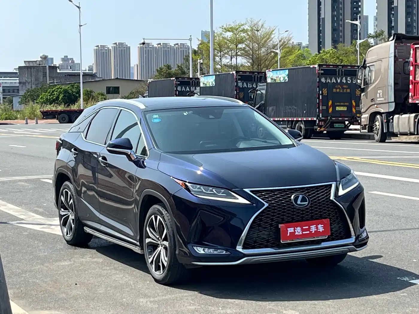 Lexus RX 2020 300 4WD Elegance Edition China VI фото 3