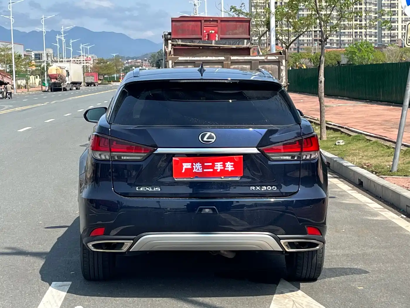 Lexus RX 2020 300 4WD Elegance Edition China VI фото 8