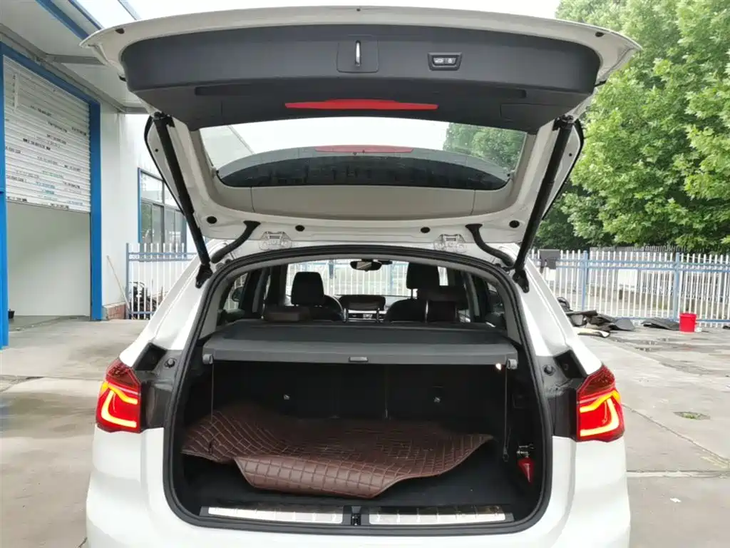 BMW X1 2018 xDrive20Li Luxury Model фото 19