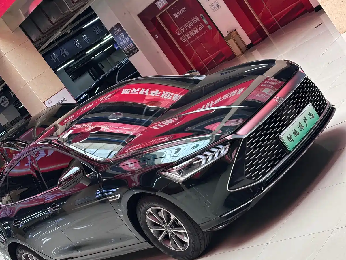 BYD Qin PLUS 2024 Glory Edition DM-i 55KM Leading фото 10