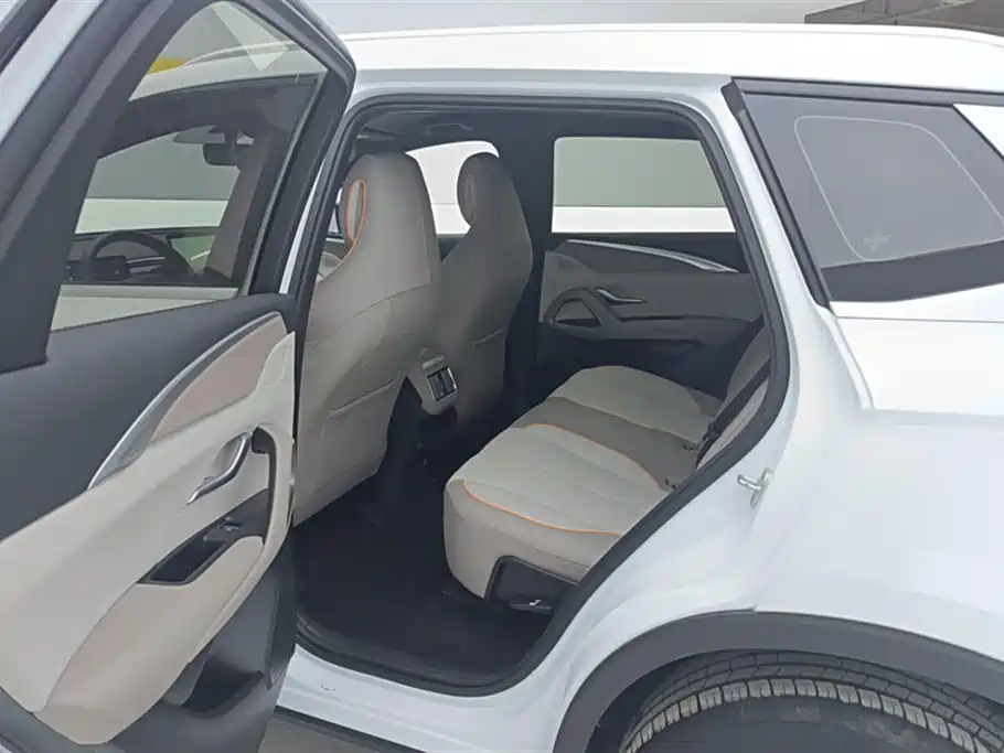 BYD Song Pro New Energy 2024 Glory Edition DM-i 71KM Pilot фото 11