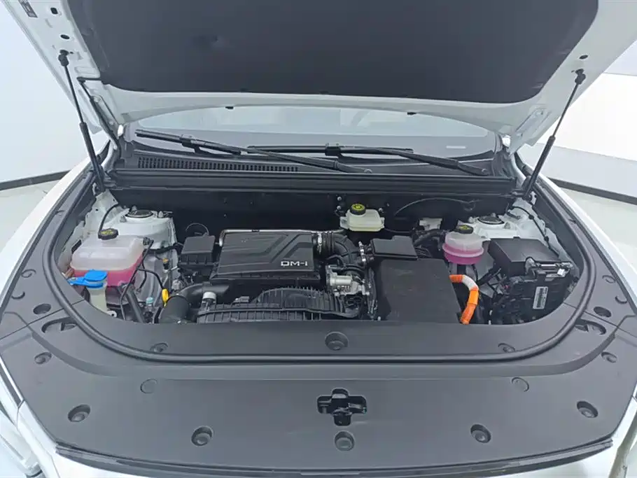 BYD Song Pro New Energy 2024 Glory Edition DM-i 71KM Pilot фото 10