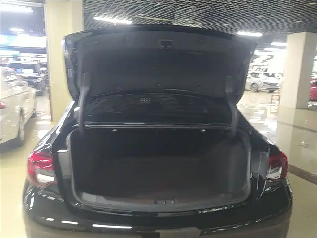 Buick Regal 2024 25T Ultra Comfort Edition фото 19