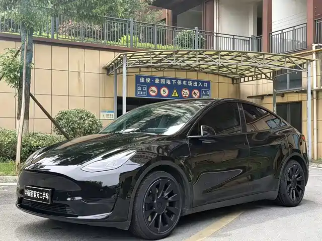 Tesla Model Y 2022 Rear-Wheel Drive Version