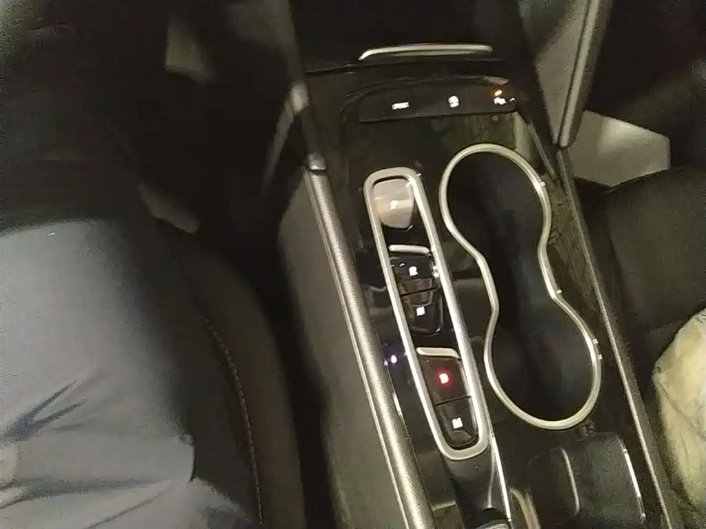 Buick Regal 2024 25T Ultra Comfort Edition фото 14