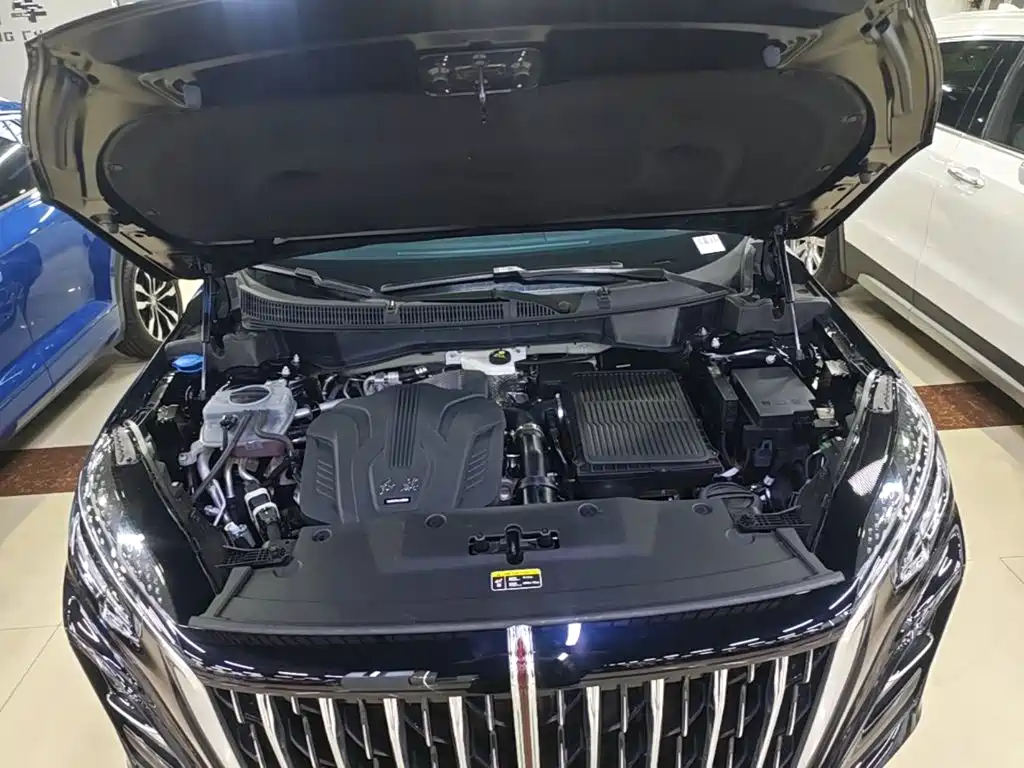 Hongqi HS3 PHEV 2025 2024 PHEV 115km Power Edition