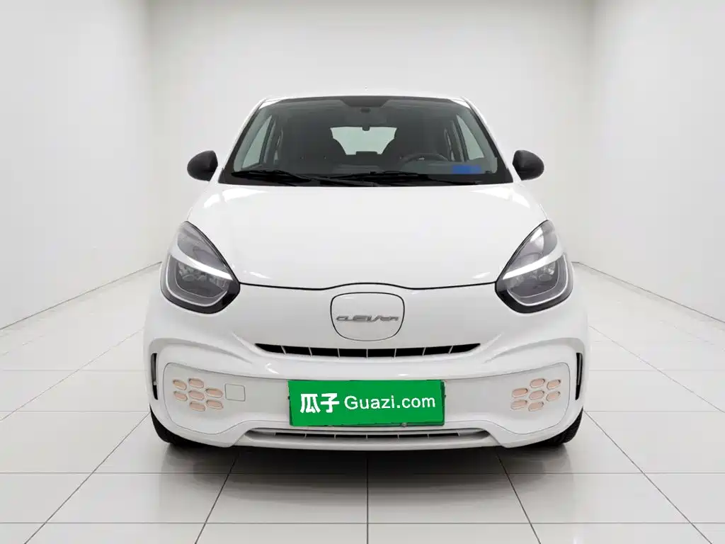 Roewe Kaiwei CLEVER 2021 2021 302km Excellence Edition