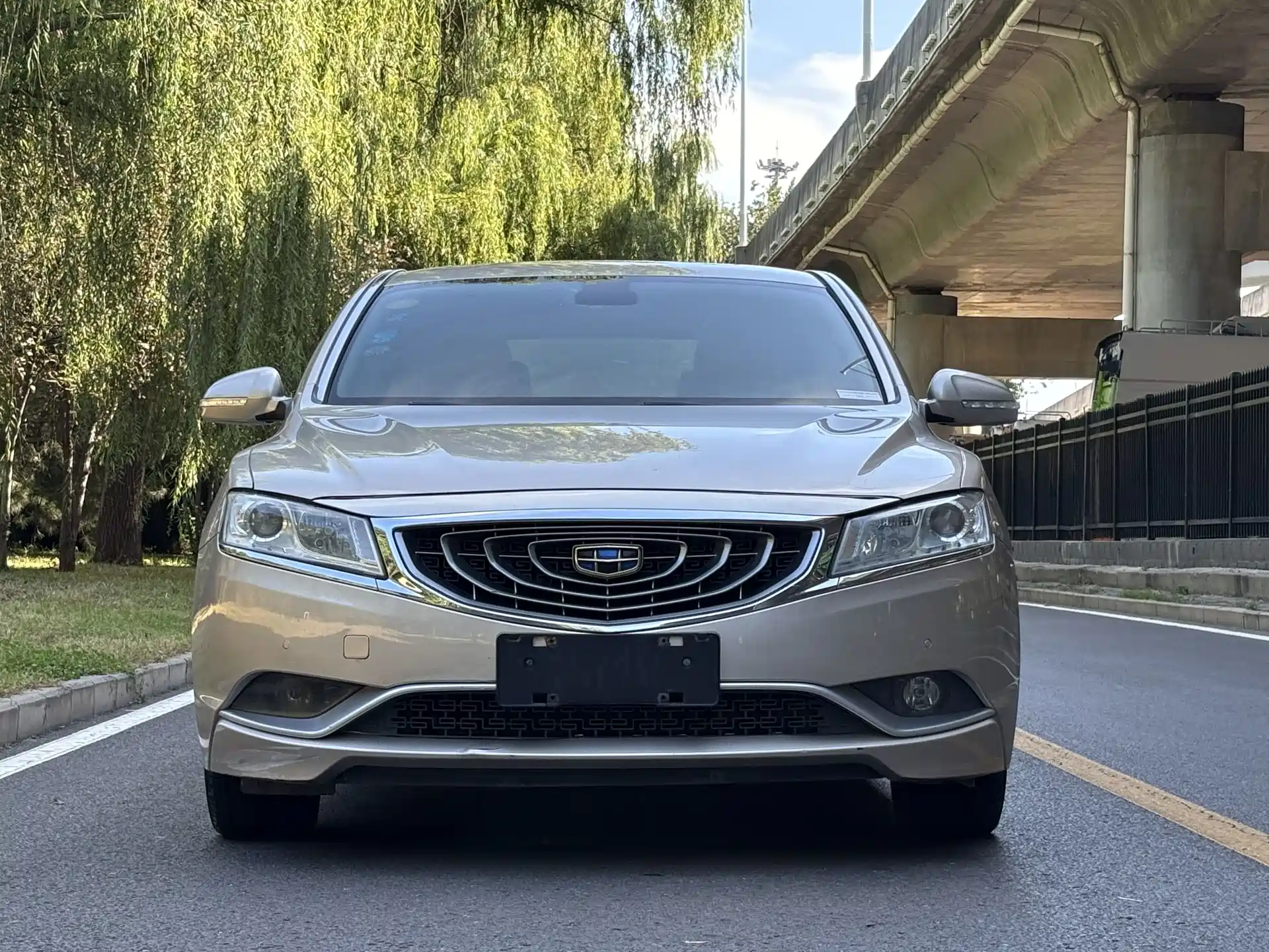 Фото 2 - Geely Borui