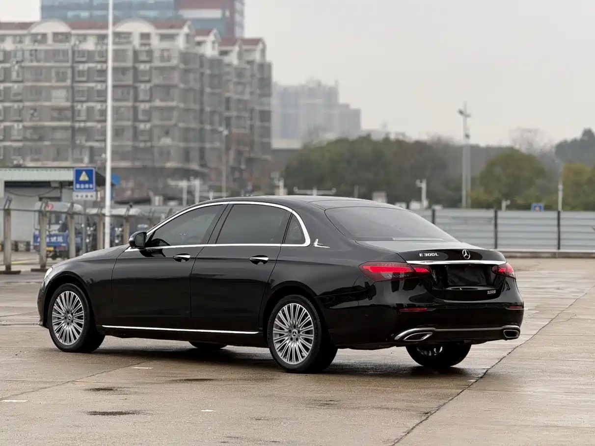 Mercedes-Benz E-Class 2022 E 300 L Luxury фото 16