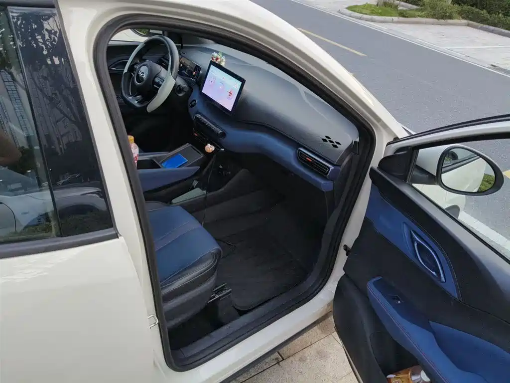 BYD Seagull 2024 Glory Edition 305km Vitality Edition фото 21