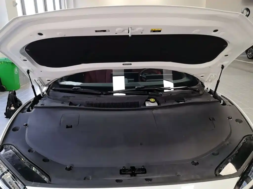 Zhijie S7 2023 2024 Max RS