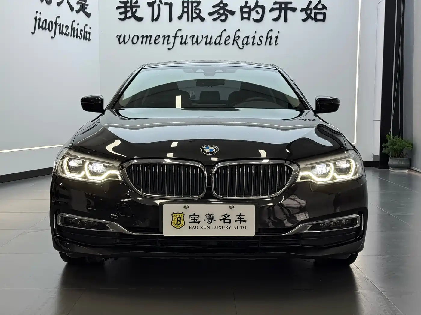 BMW 5 SERIES NEW ENERGY