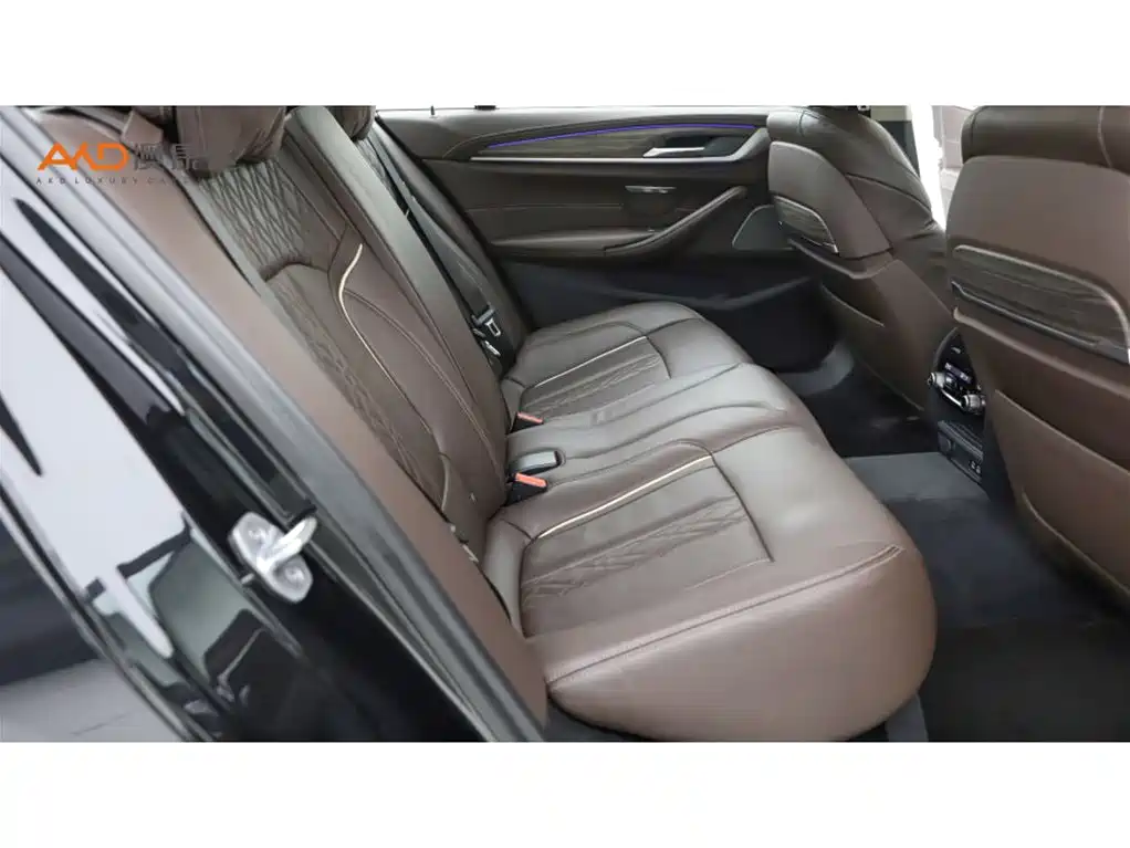 BMW 5 Series 2020 530Li Premium Luxury Package фото 8