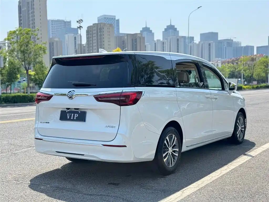 Buick GL8 2022 ES Landmark 653T Premium фото 6