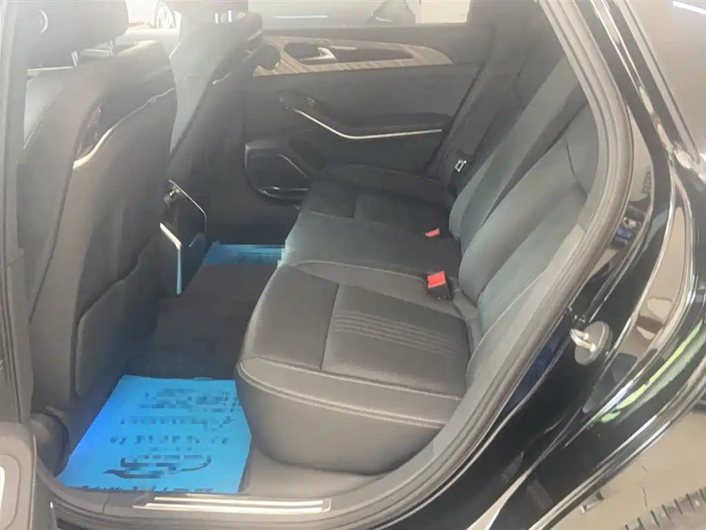 Hongqi H9 2020 2.0T Smart Connection Qi Xiang Edition фото 14
