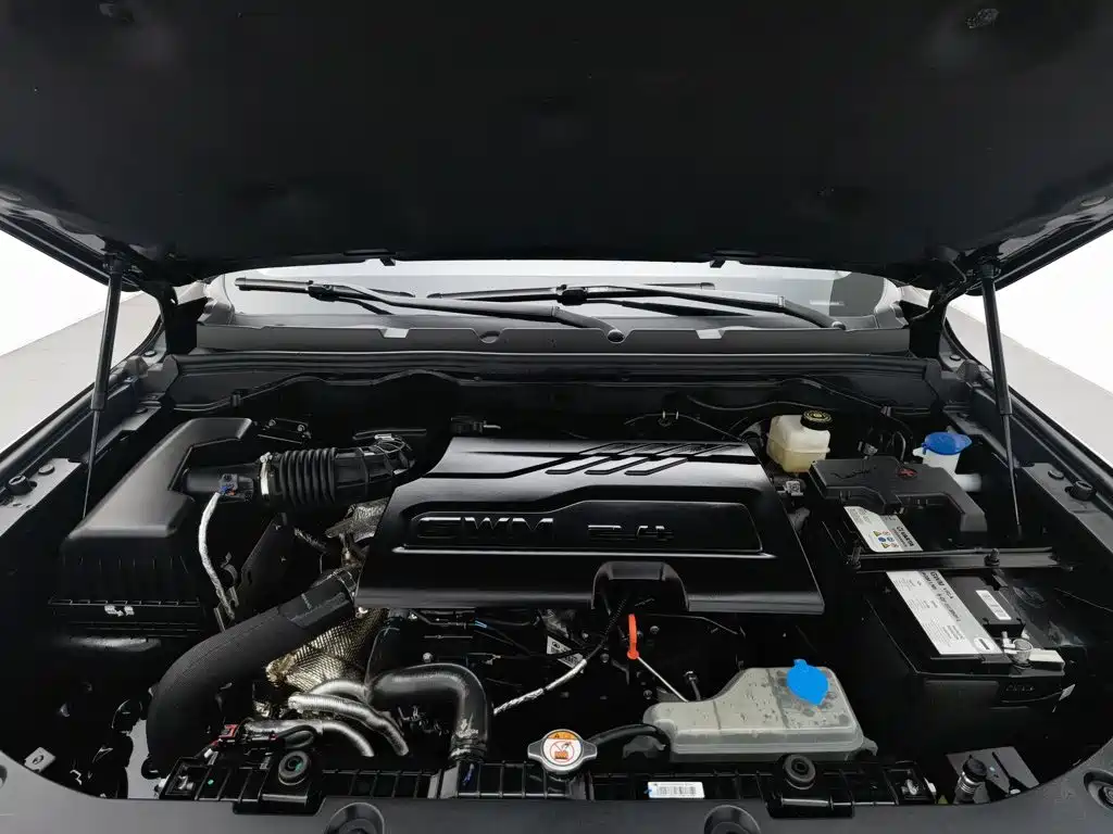 Great Wall Pao 2026 2024 Model 2.4T Passenger Version Automatic Diesel 4WD Comfort Type