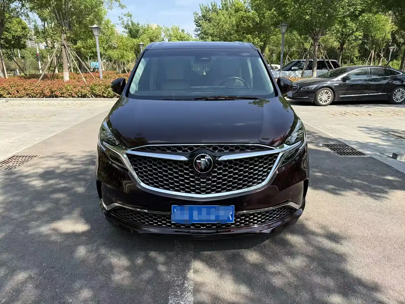 Buick GL8 2020 Avenir Six-Seat Elegance Edition фото 2