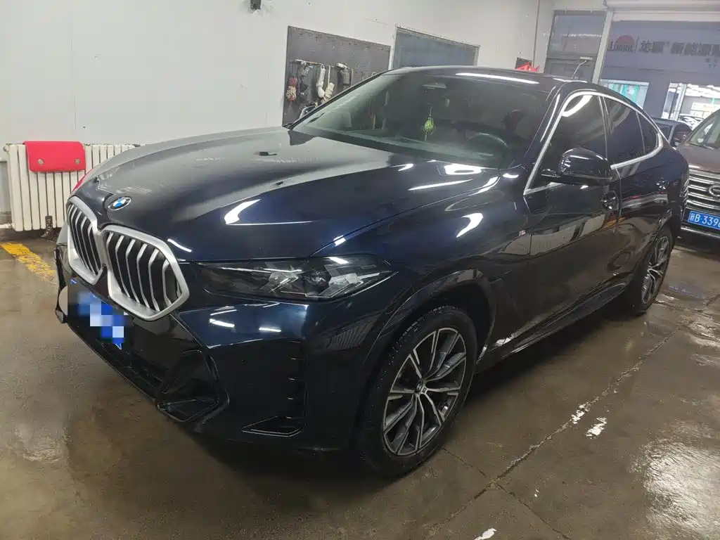 2024 BMW X6
