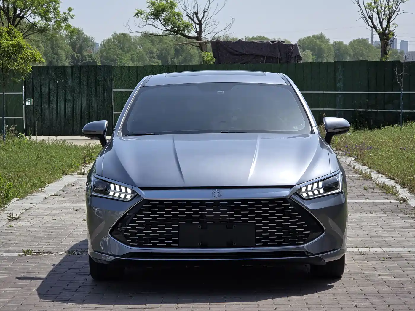 BYD Qin PLUS 2021 DM-i 55KM Flagship фото 2