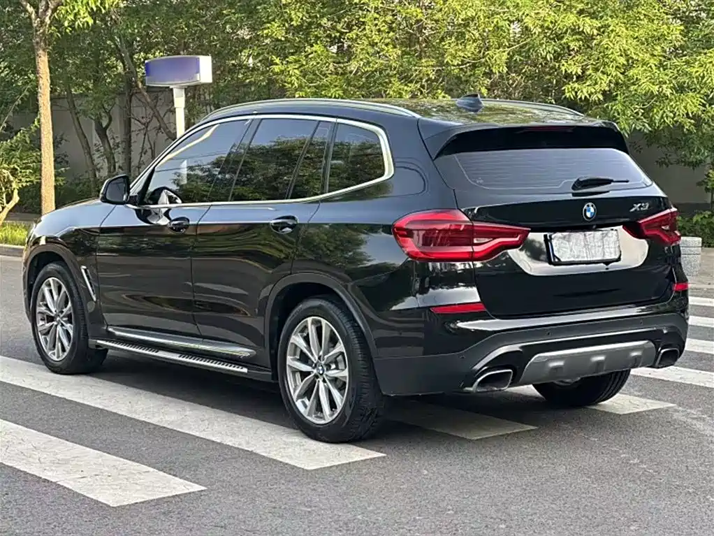 BMW X3 2019 xDrive25i Luxury Package фото 10