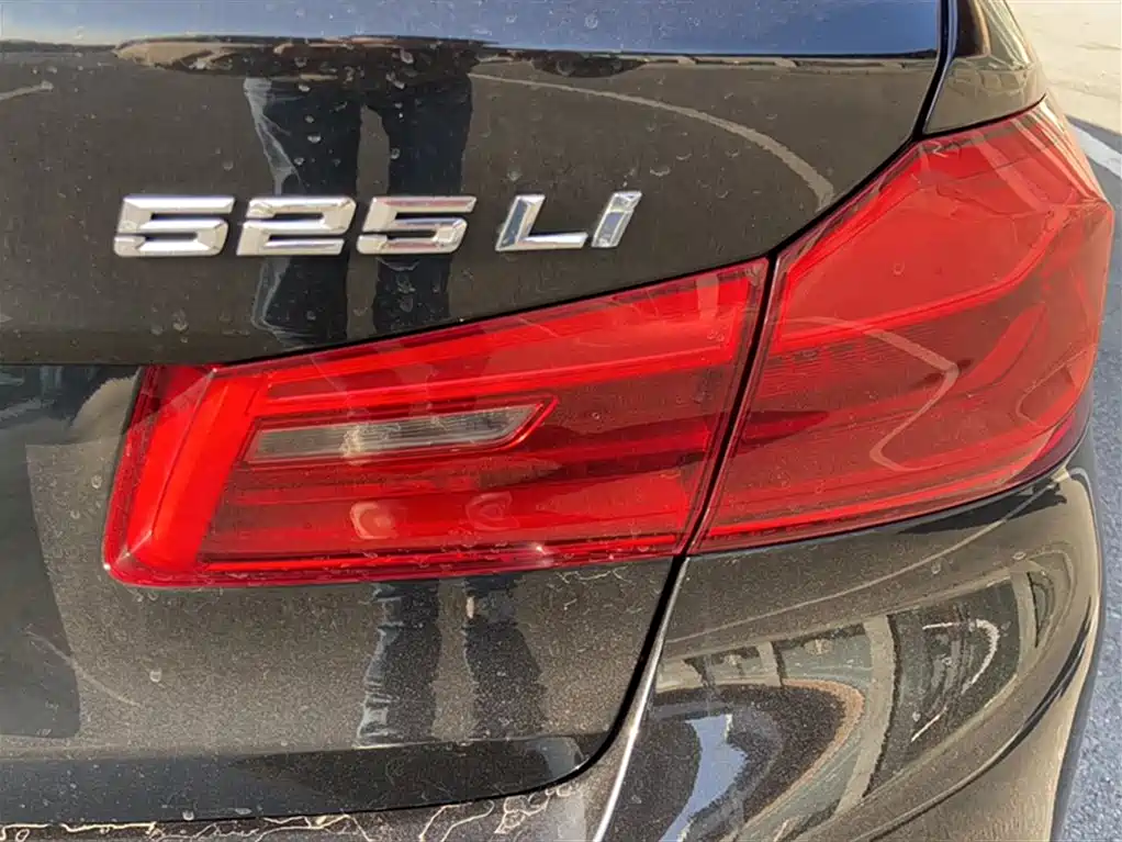 BMW 5 Series 2020 525Li M Sport Package фото 23