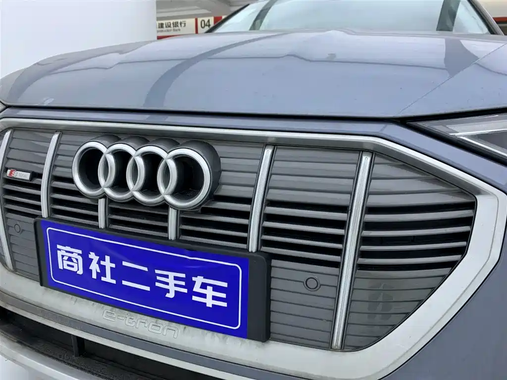 Audi e-tron 2021 50 quattro Luxury фото 7