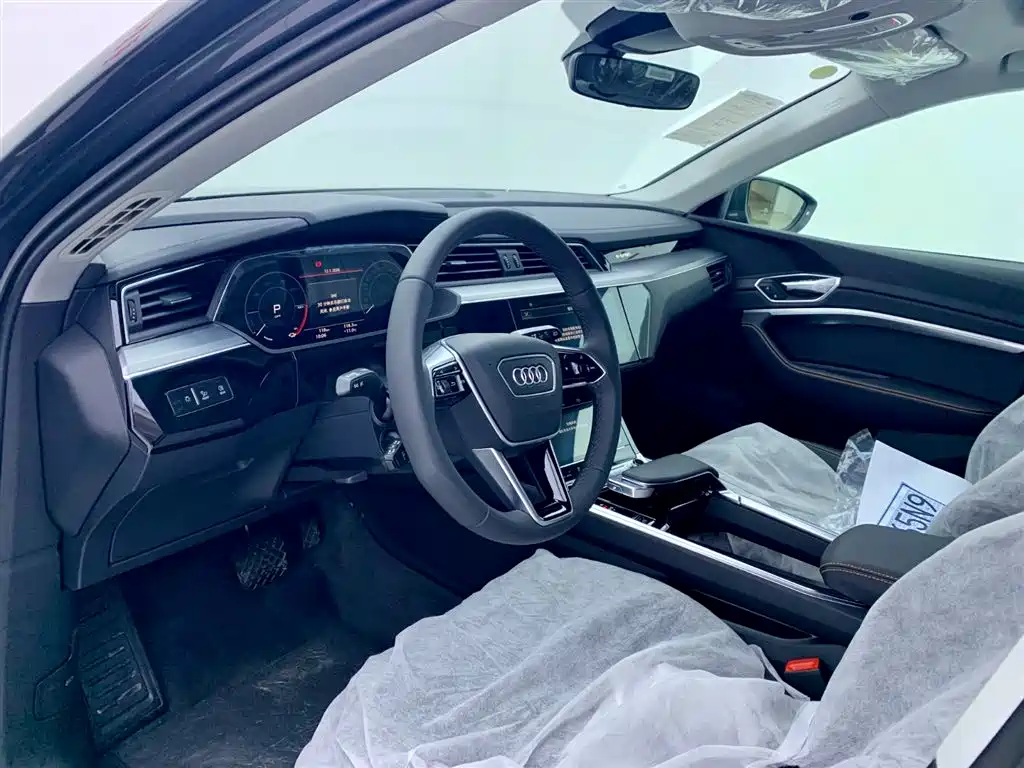 Audi e-tron 2021 50 quattro Luxury фото 15