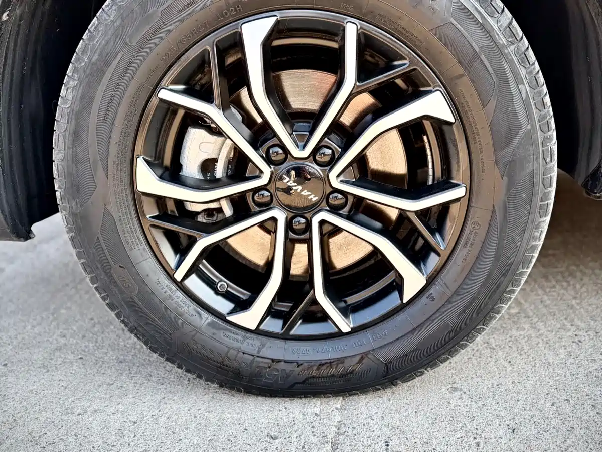 Haval H6 2023 National Trend Edition 1.5T Automatic Urban фото 9