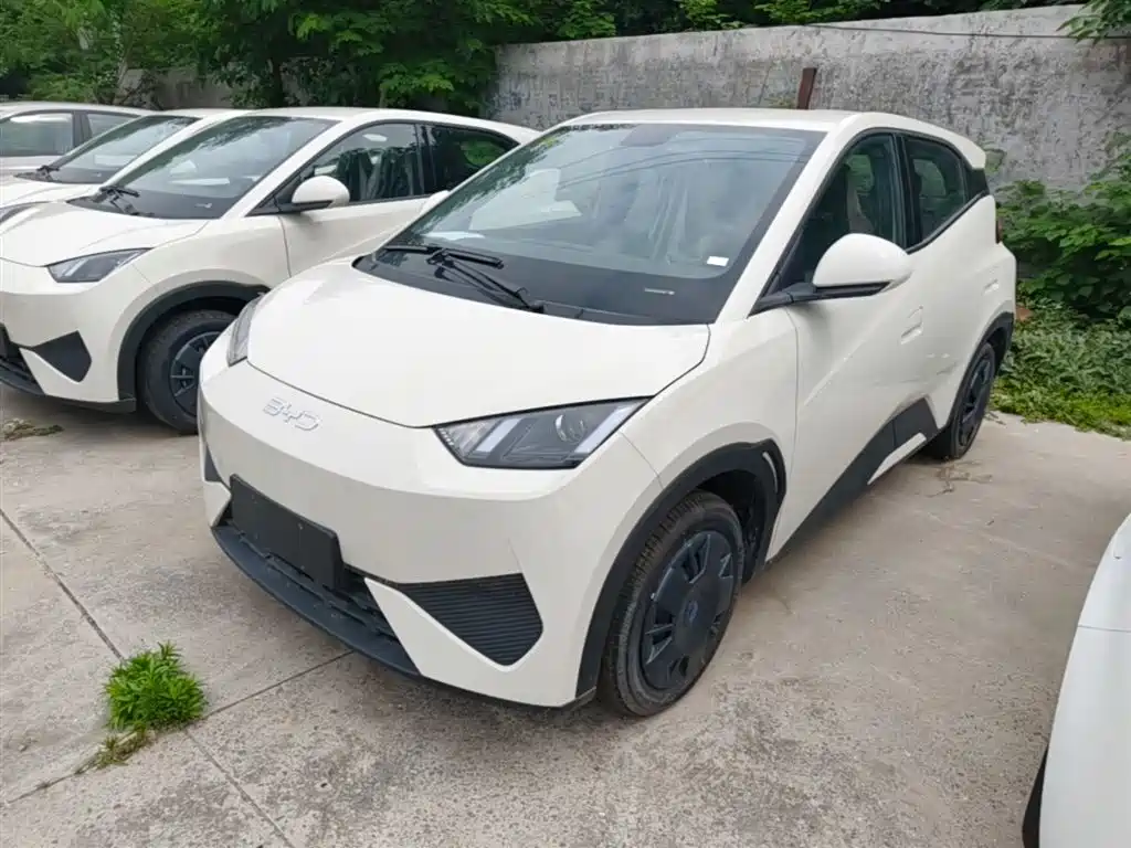 BYD Seagull 2025 Smart Drive Edition 305km Vitality Version