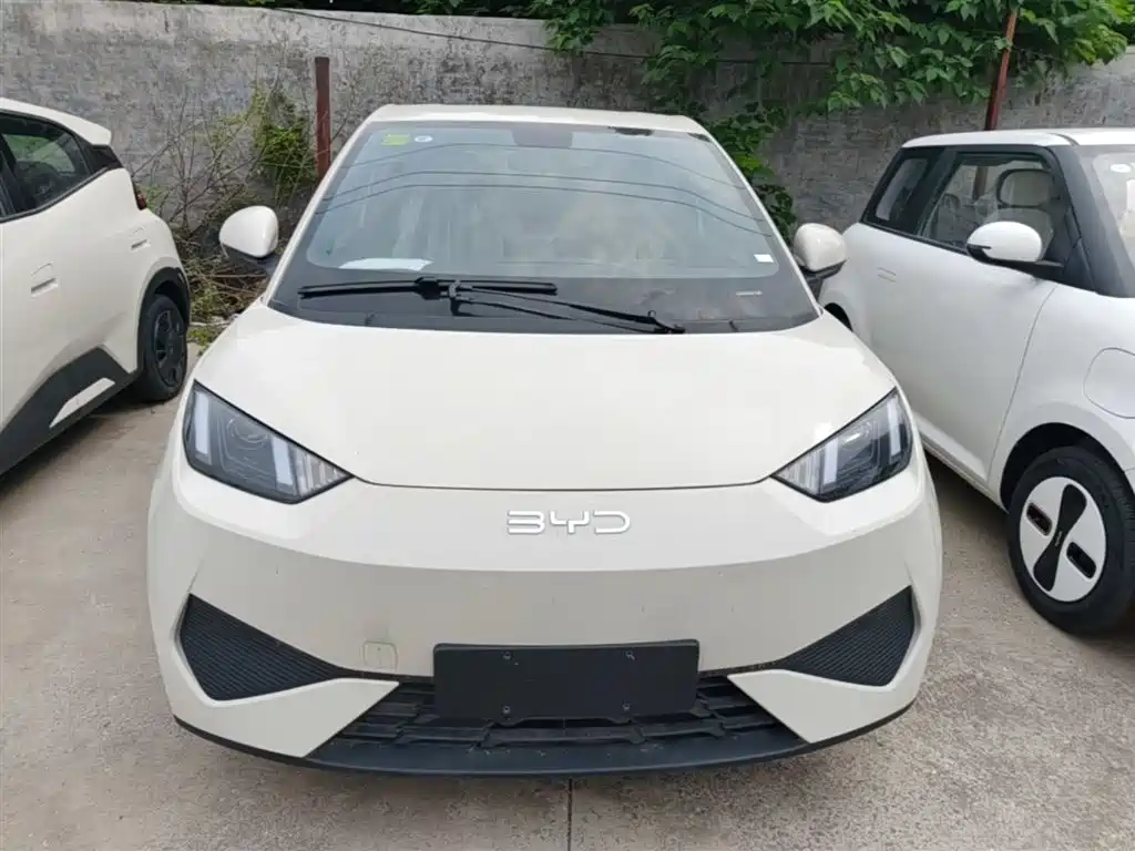 BYD Seagull 2025 Smart Drive Edition 305km Vitality Version фото 3