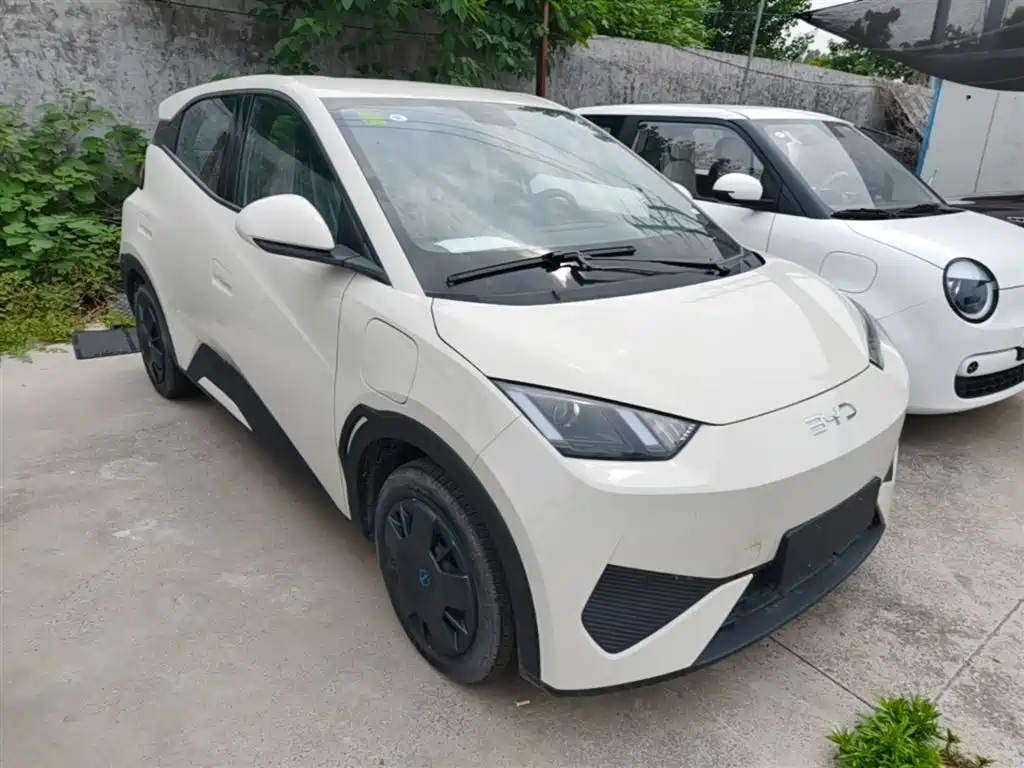 BYD Seagull 2025 Smart Drive Edition 305km Vitality Version фото 4