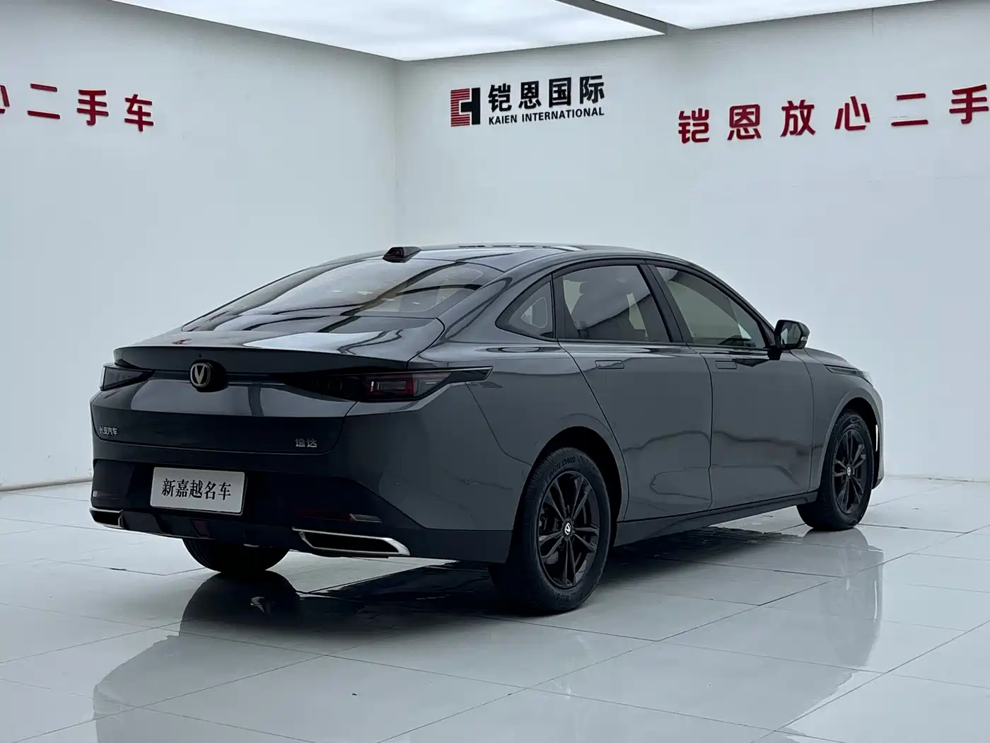 Changan Yida 2024 2023 Blue Whale NE 1.5T GDI DCT Exclusive