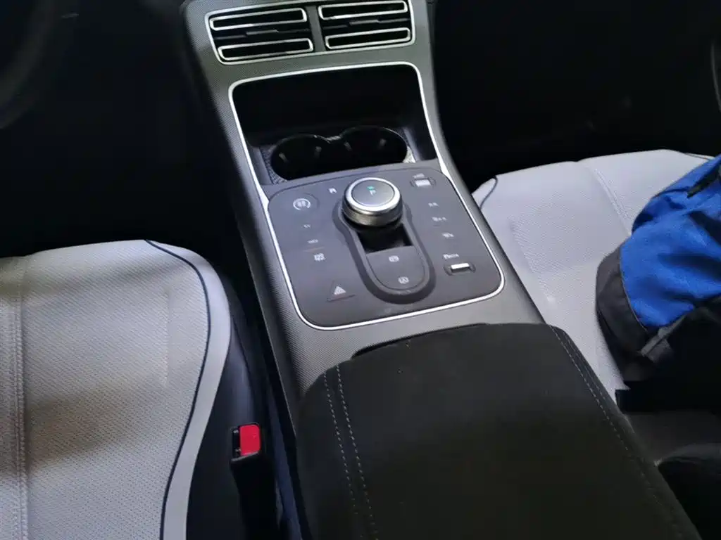 BYD Destroyer 05 2024 Glory Edition DM-i 55KM Luxury фото 14