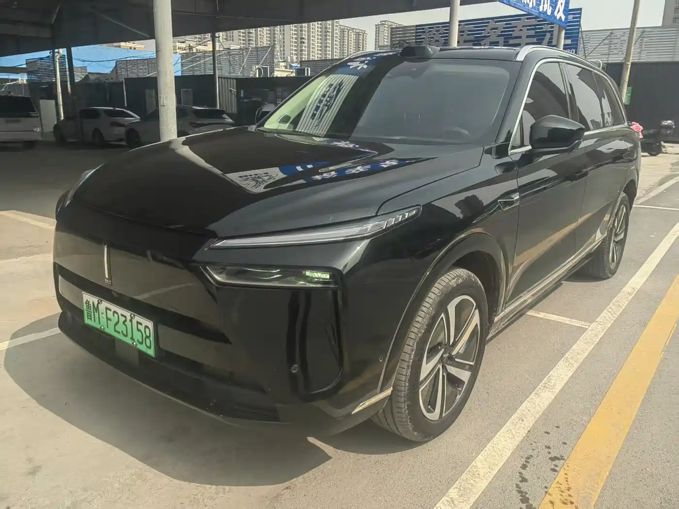 WEI PAI WEI BRAND BLUE MOUNTAIN