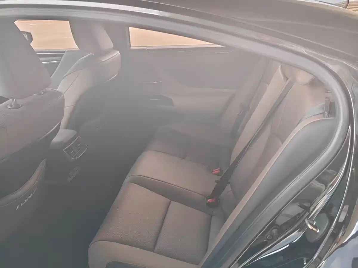 Lexus ES 2023 200 Excellence Edition фото 5