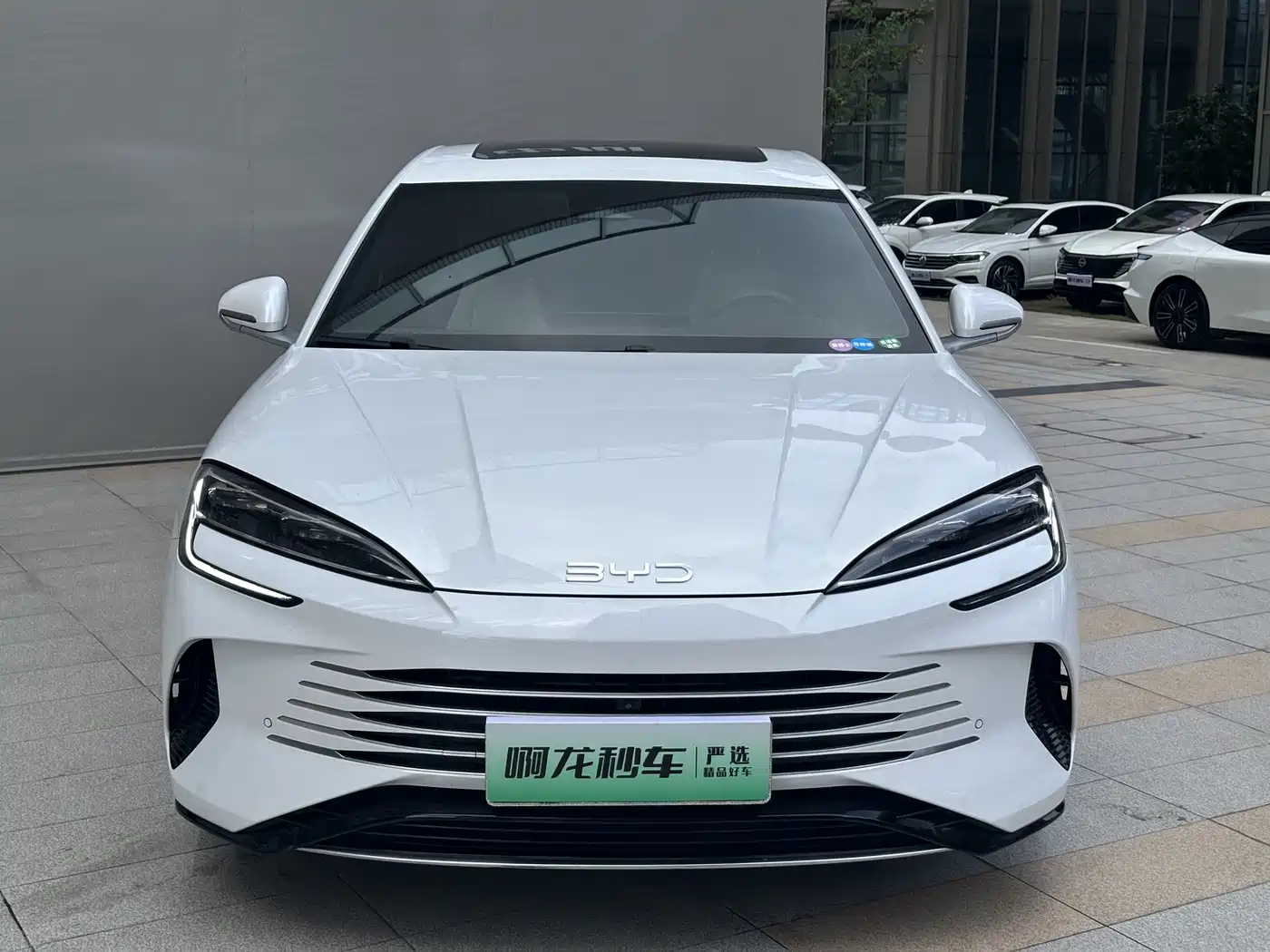 BYD Seal 2024 Glory Edition DM-i 1.5L 121km Prestige фото 3