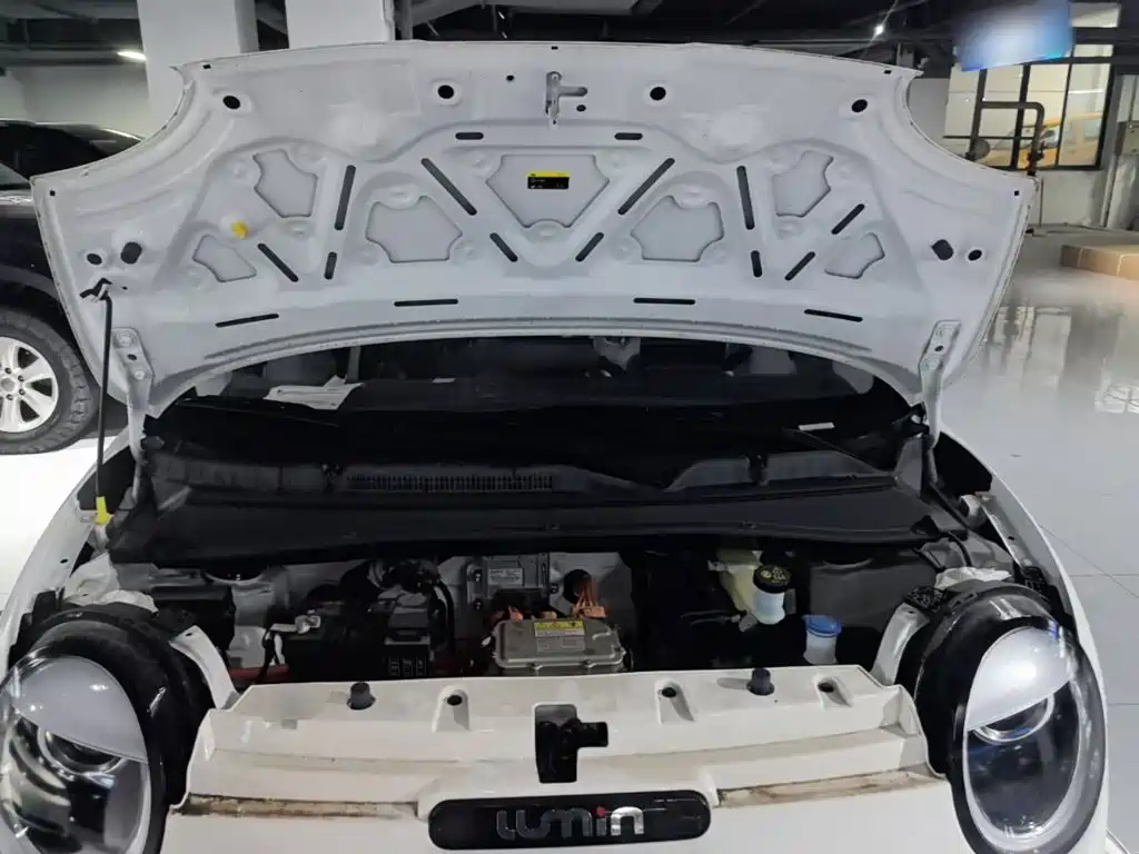 Changan Lumin 2026 2026 Model 205km Treasure Edition