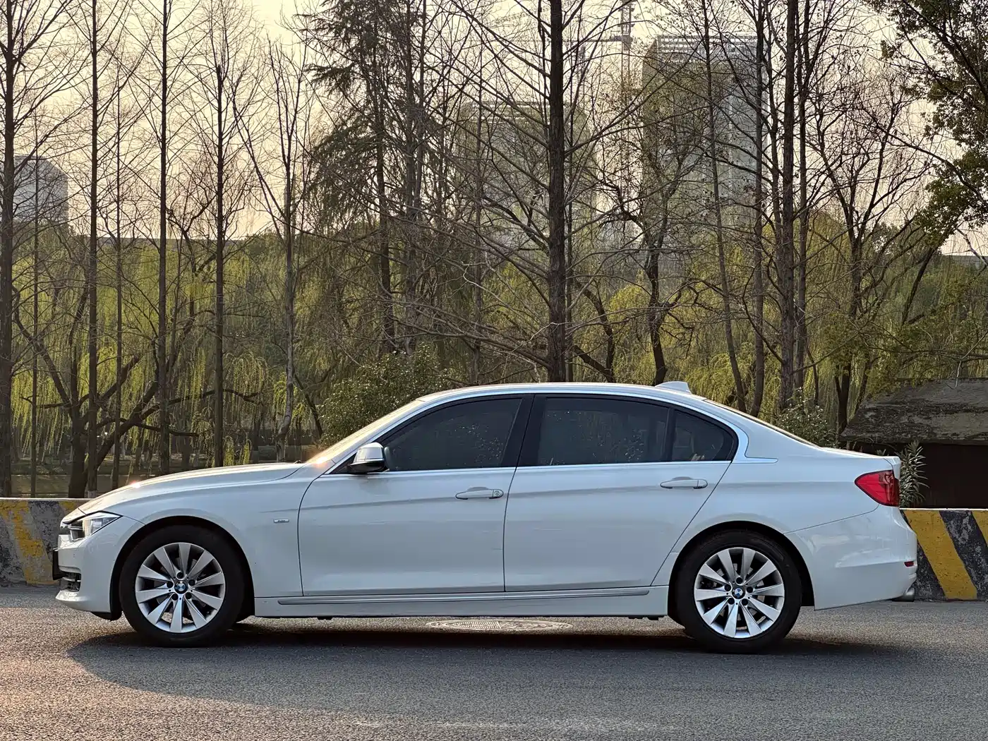 BMW 3 Series 2014 320Li Style Design Package фото 4