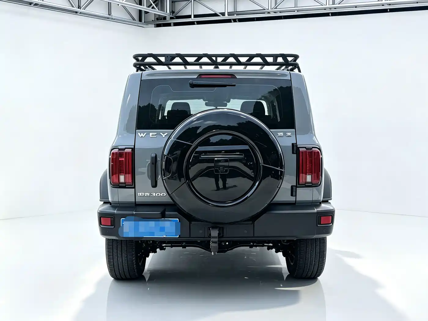 Tank 300 2021 2021 Off-road Version 2.0T Conqueror