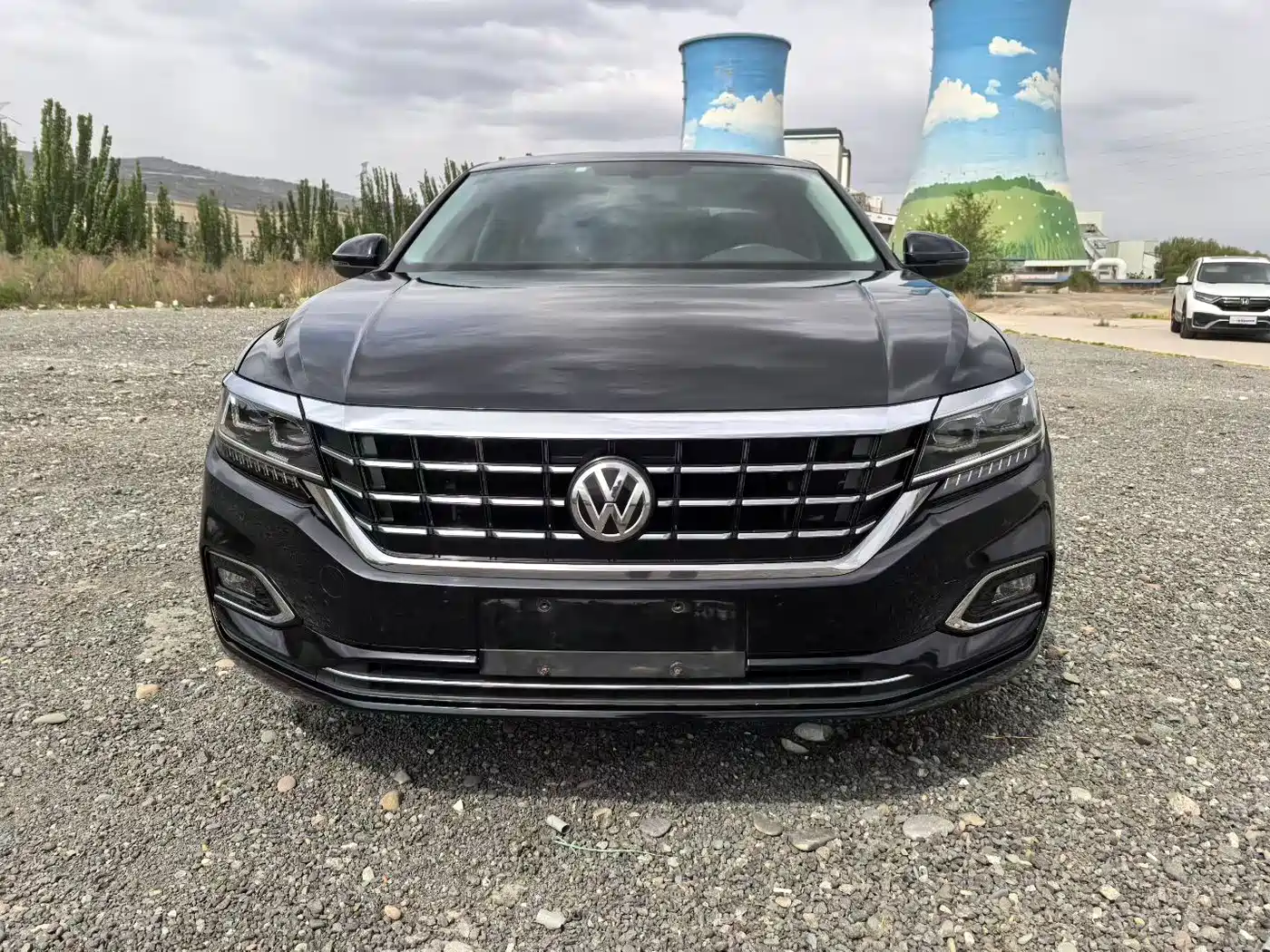 Volkswagen Passat 2019 330TSI Luxury Edition China VI фото 2