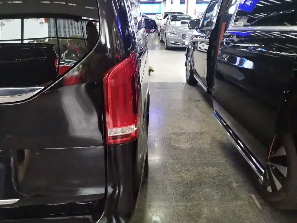 Mercedes-Benz V-Class 2018 V 260 Pilot Edition China V фото 8