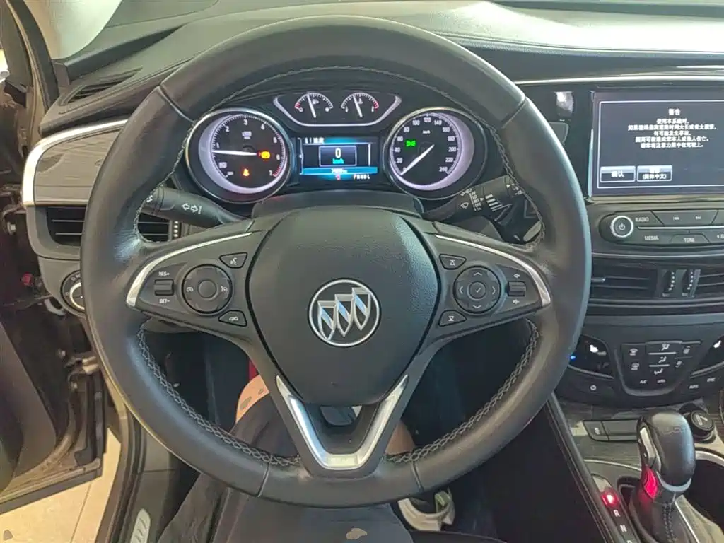 Buick Envision Plus 2019 20T 2WD Elite Type China V фото 11