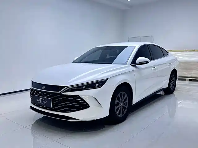 BYD Qin L DM-i 80KM, Лидер