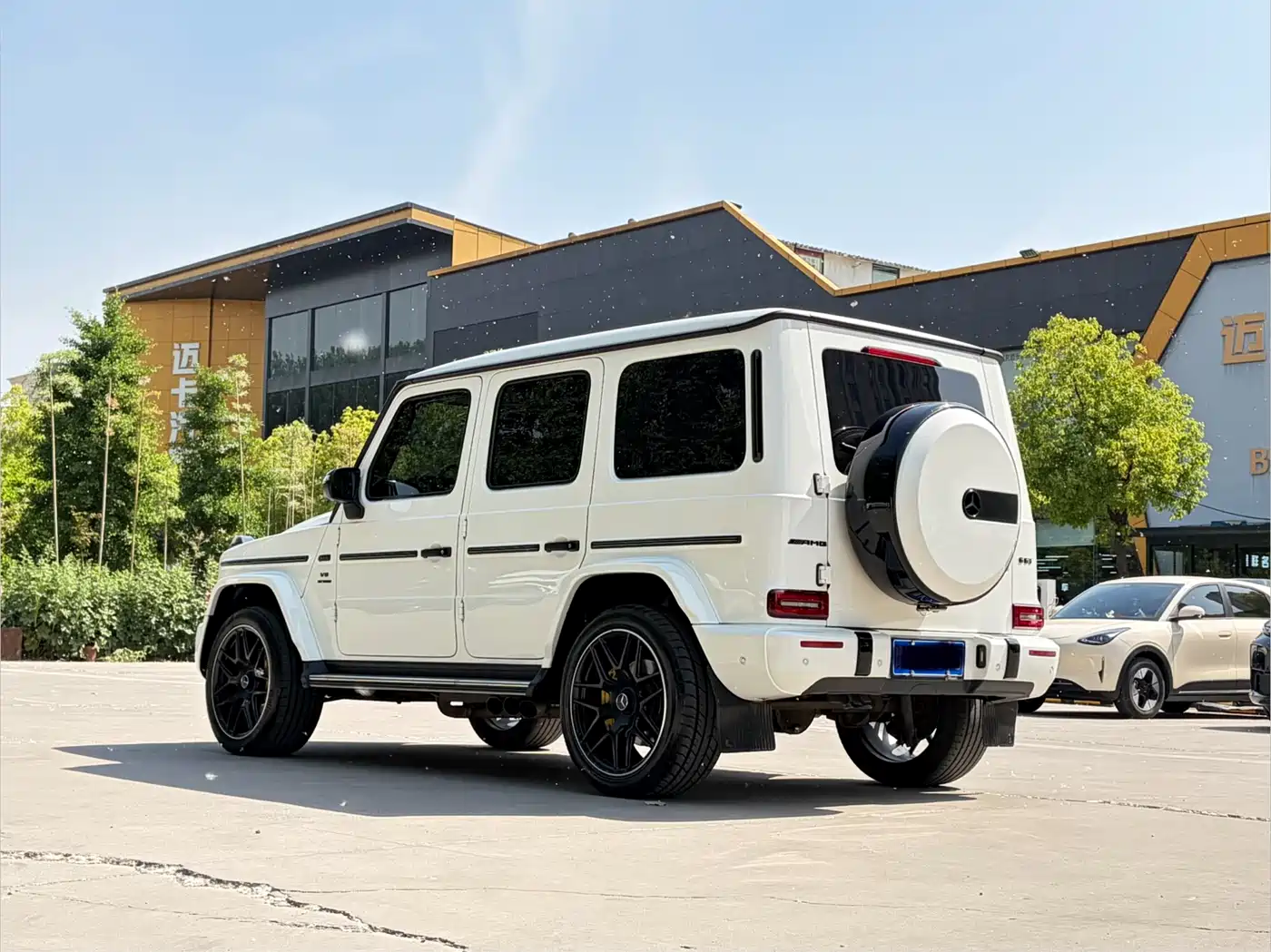 Mercedes-Benz G-Class 2020 G 350 фото 25